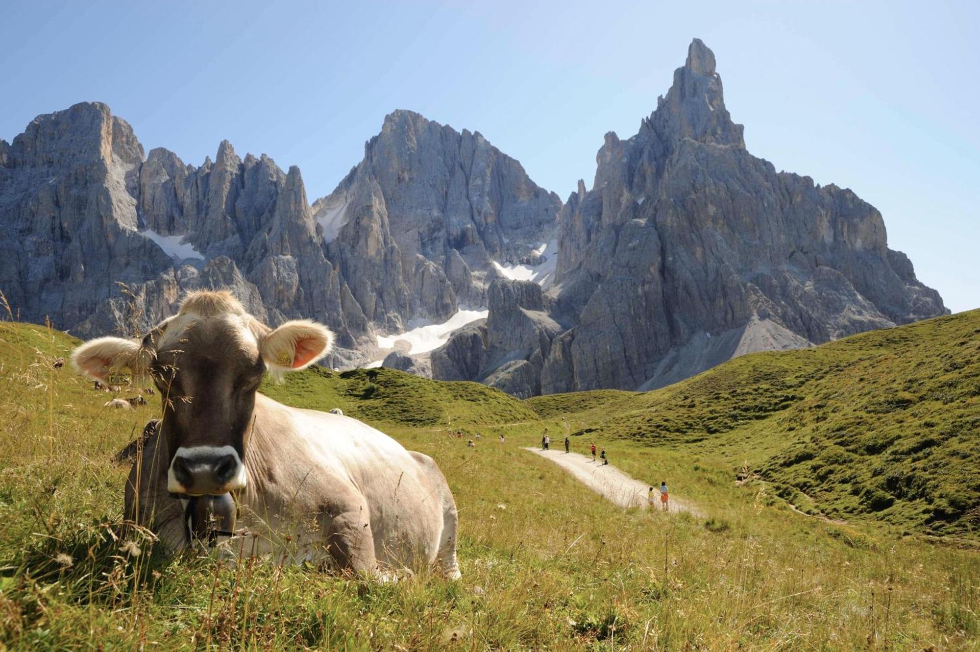 Sporting Aparthotel San Martino Di Castrozza Exterior foto